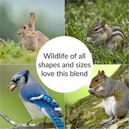 Lyric Wildlife Critter Food for Deer, Squirrels, Turkeys & Rabbits, Wild Bird Seed for Outside Feeders, 10 lb Bag