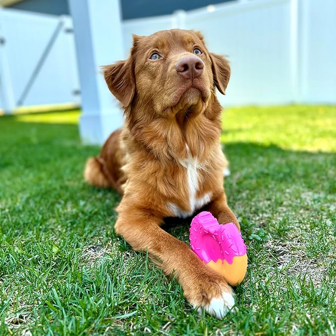 Nylabone Donut Power Chew Toy for Dogs, Dog Toys for Aggressive Chewers, Bacon Glazed Flavor, Large Dogs - Up to 50 lbs, 1 Count