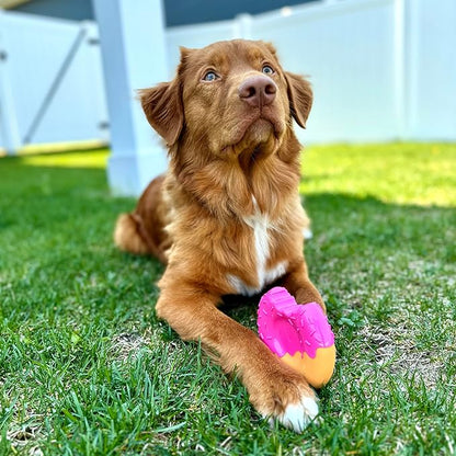 Nylabone Donut Power Chew Toy for Dogs, Dog Toys for Aggressive Chewers, Bacon Glazed Flavor, Large Dogs - Up to 50 lbs, 1 Count