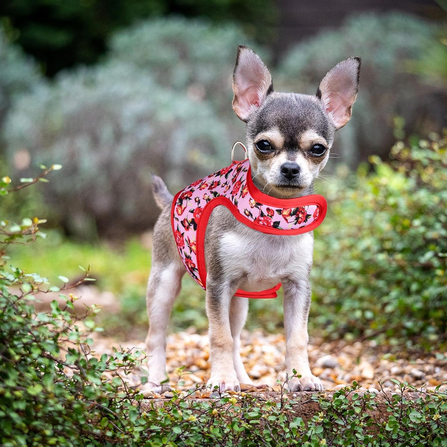 Mile High Life Velcro Dog Harness, Air Mesh Floral Vest Harness for 20 lbs Small Dogs & Cats, Easy Get on Adjustable Easy Closures Both Neck and Chest(Peony Rose, XS Chest 14"-16")