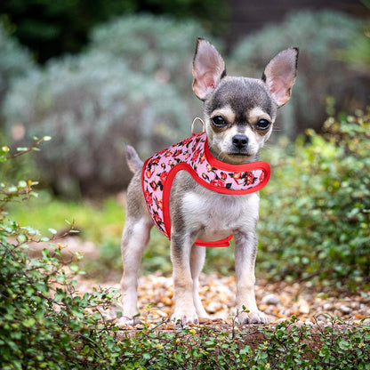 Mile High Life Velcro Dog Harness, Air Mesh Floral Vest Harness for 20 lbs Small Dogs & Cats, Easy Get on Adjustable Easy Closures Both Neck and Chest(Peony Rose, S Chest 16"-18")