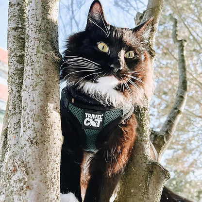 Travel Cat The Emerald Explorer Limited Edition Green Harness and Leash Set - Adjustable Fit Mesh Cat Harness with Reflective Strap - Escape Proof Harness for Cats, Kitten (Emerald, Extra Small)