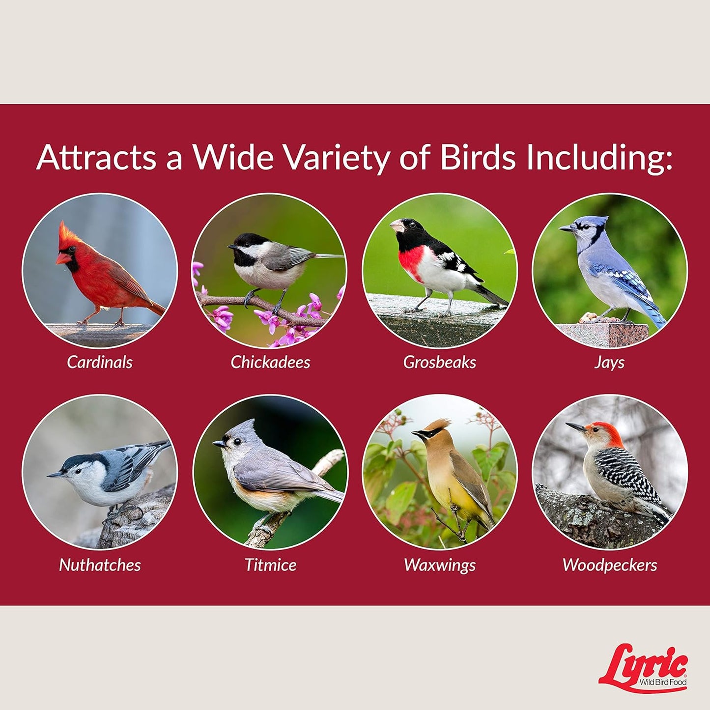 Lyric Fruit and Nut Wild Bird Seed, High Energy Wild Bird Food Mix, 20 lb. Bag