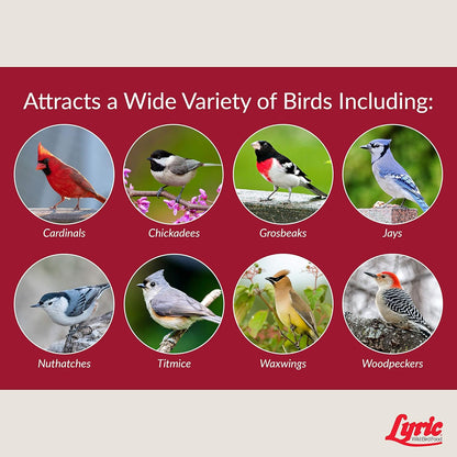 Lyric Fruit and Nut Wild Bird Seed, High Energy Wild Bird Food Mix, 20 lb. Bag