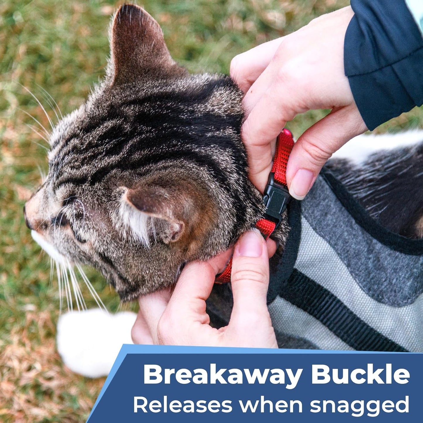 GoTags Personalized Cat Collar with Embroidered Name and Number, Safety Breakaway Buckle Snag-Proof Design, Adjustable Customized Nylon ID Collar with Bell for Cat or Kitten, 5 Color Options