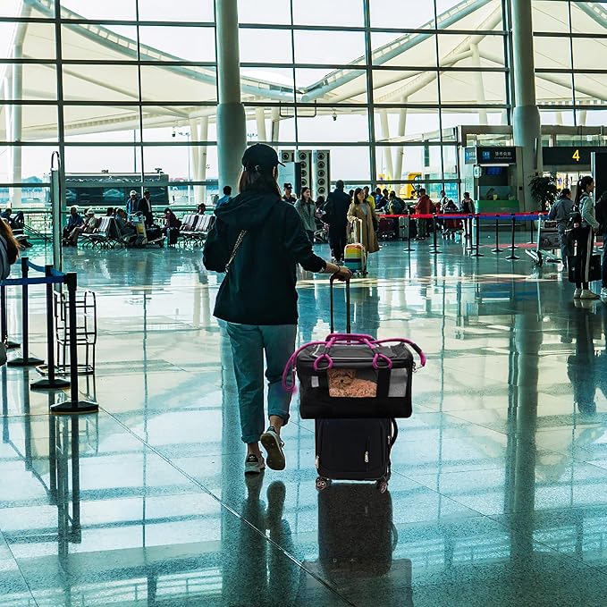 | TSA Airline Approved |Soft Sided Pet Carrier | Cat Carrier | Dog Carrier| Pets Up to 15 lbs | Leash & Luggage Strap | Black with Pink Handle