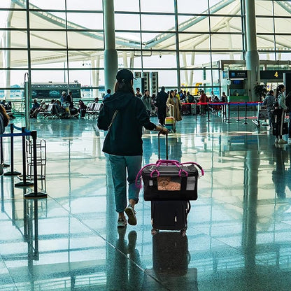 | TSA Airline Approved |Soft Sided Pet Carrier | Cat Carrier | Dog Carrier| Pets Up to 15 lbs | Leash & Luggage Strap | Black with Pink Handle