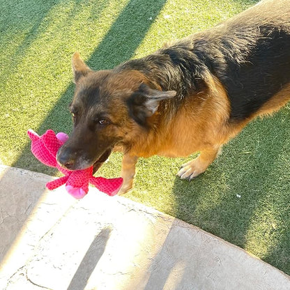 Jalousie Multipack Dog Squeaky Toys Bulk Bundle Pup Toy - Puppy Toys for Pets for Small Medium Breed (24 PCs Gift Basket)