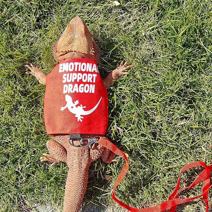 Romansk Bearded Dragon Harness and Leash Set - Escape Proof Adjustable Lizard Reptiles Harness with Short Leash for Walking Outdoor - Fun Emotional Support Dragon Designs