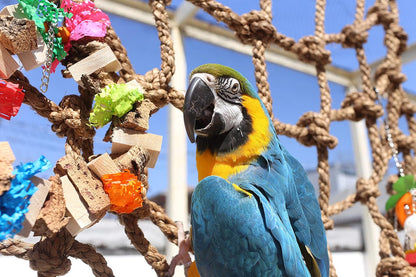 Parrot Climbing Rope Net (Choose Size) (Large 4x4ft)