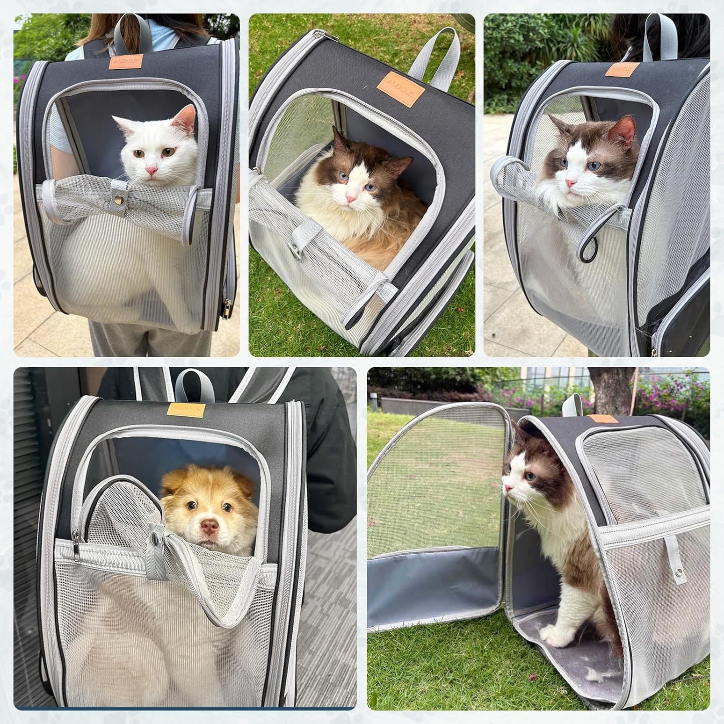 Cat Backpack Carrier, Pet Backpack Carrier Cats and Small Dogs, Collapsible Fully Ventilation Cat Backpack for Outdoors Hiking Camping Travel(up to 16.5lbs)