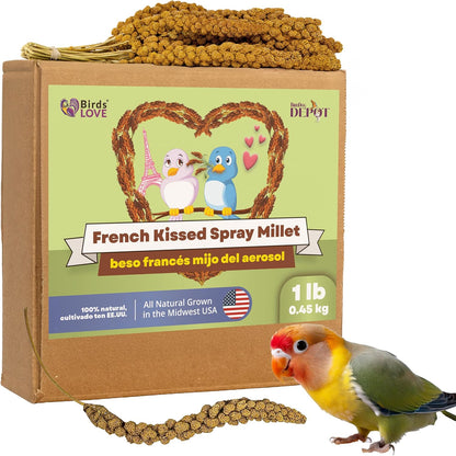 Birds LOVE French Kissed Spray Millet for Birds - Parakeets, Cockatiels, Lovebirds, Finches, Budgies, Canaries, Cockatoos - Natural & Healthy Bird Millet - Parakeet Food & Treats for All Parrots 1lb