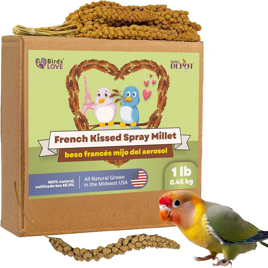 Birds LOVE French Kissed Spray Millet for Birds - Parakeets, Cockatiels, Lovebirds, Finches, Budgies, Canaries, Cockatoos - Natural & Healthy Bird Millet - Parakeet Food & Treats for All Parrots 1lb