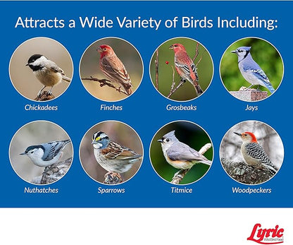Lyric Wild Bird Mix - Wild Bird Food for Outside Feeders - Attracts Doves, Jays and many more - 20 lb. Bag