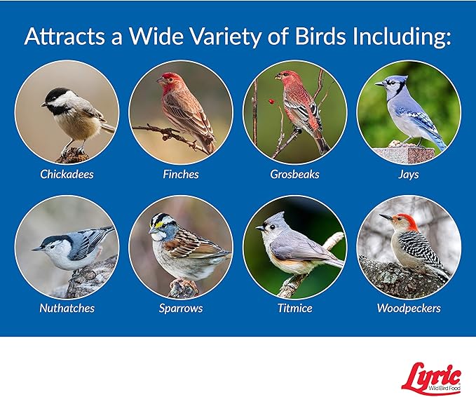 Lyric Wild Bird Mix - Wild Bird Food for Outside Feeders - Attracts Doves, Jays and many more - 40 lb. Bag