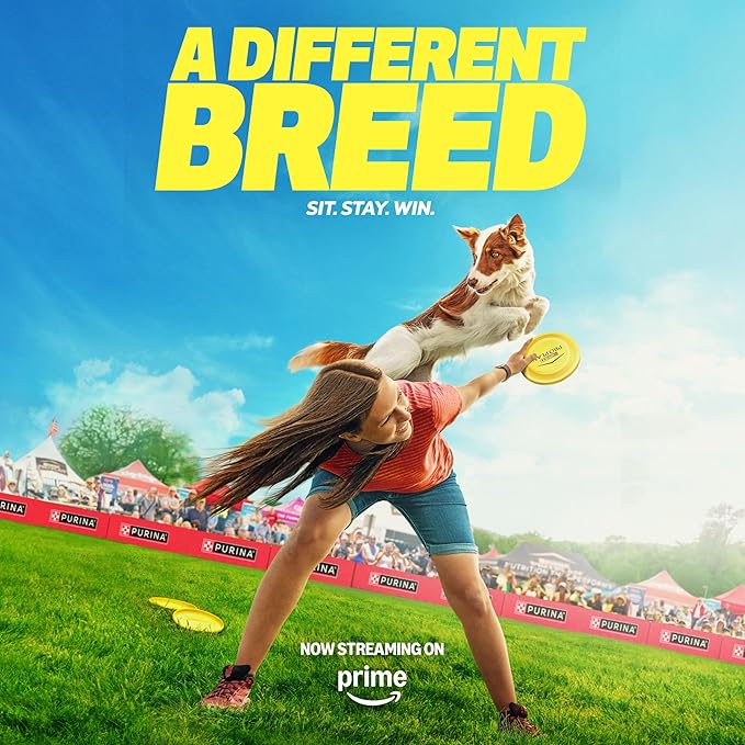 Purina Pro Plan High Protein Dog Food, Small Bites, SPORT 27/17 Lamb and Rice Formula - 37.5 lb. Bag