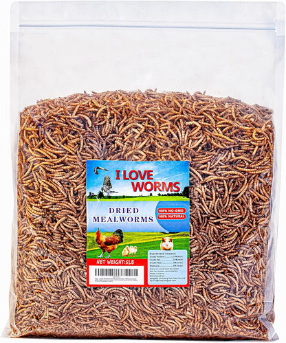 I LOVE WORMS Dried Mealworms (5lb), Wild Bird Food, High-Protein Mealworms for Bluebirds, Chickens, Ducks, Reptile, Tortoise, Amphibian, Lizard