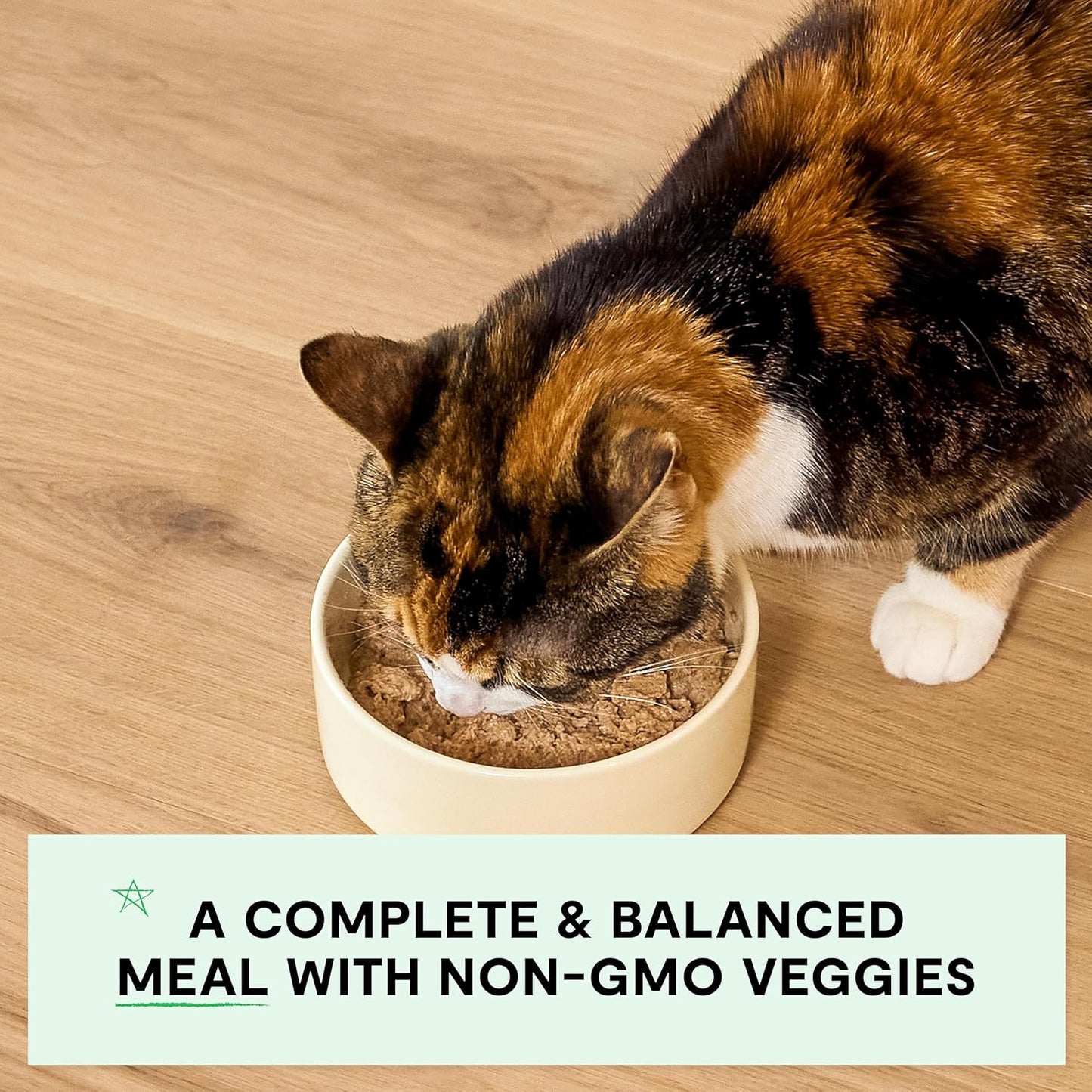 Open Farm Canned Kitten Food, Pate for Complete & Balanced Nutrition, Grain Free and Legume-Free Wet Kitten Food, Chicken & Salmon Recipe, 2.8oz Cans (Case of 18)