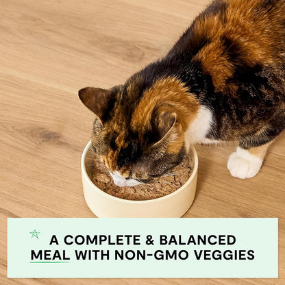 Open Farm Canned Kitten Food, Pate for Complete & Balanced Nutrition, Grain Free and Legume-Free Wet Kitten Food, Chicken & Salmon Recipe, 2.8oz Cans (Case of 18)