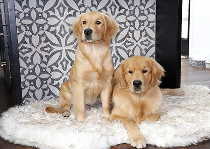 PAW BRANDS PupRug Orthopedic Dog Bed for Large Dogs with Fluffy Soft Faux Fur and Memory Foam for Joint Pain Relief, Machine Washable and Waterproof Couch Bed, White, Extra Large