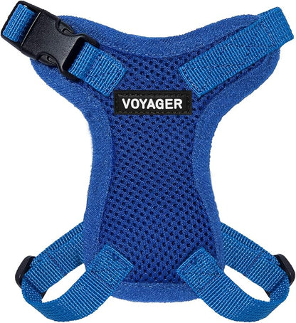 Voyager Step-in Lock Adjustable Cat Harness w. Cat Leash Combo Set with Neoprene Handle 5ft - Supports Small, Medium and Large Breed Cats by Best Pet Supplies - Royal Blue, XXS