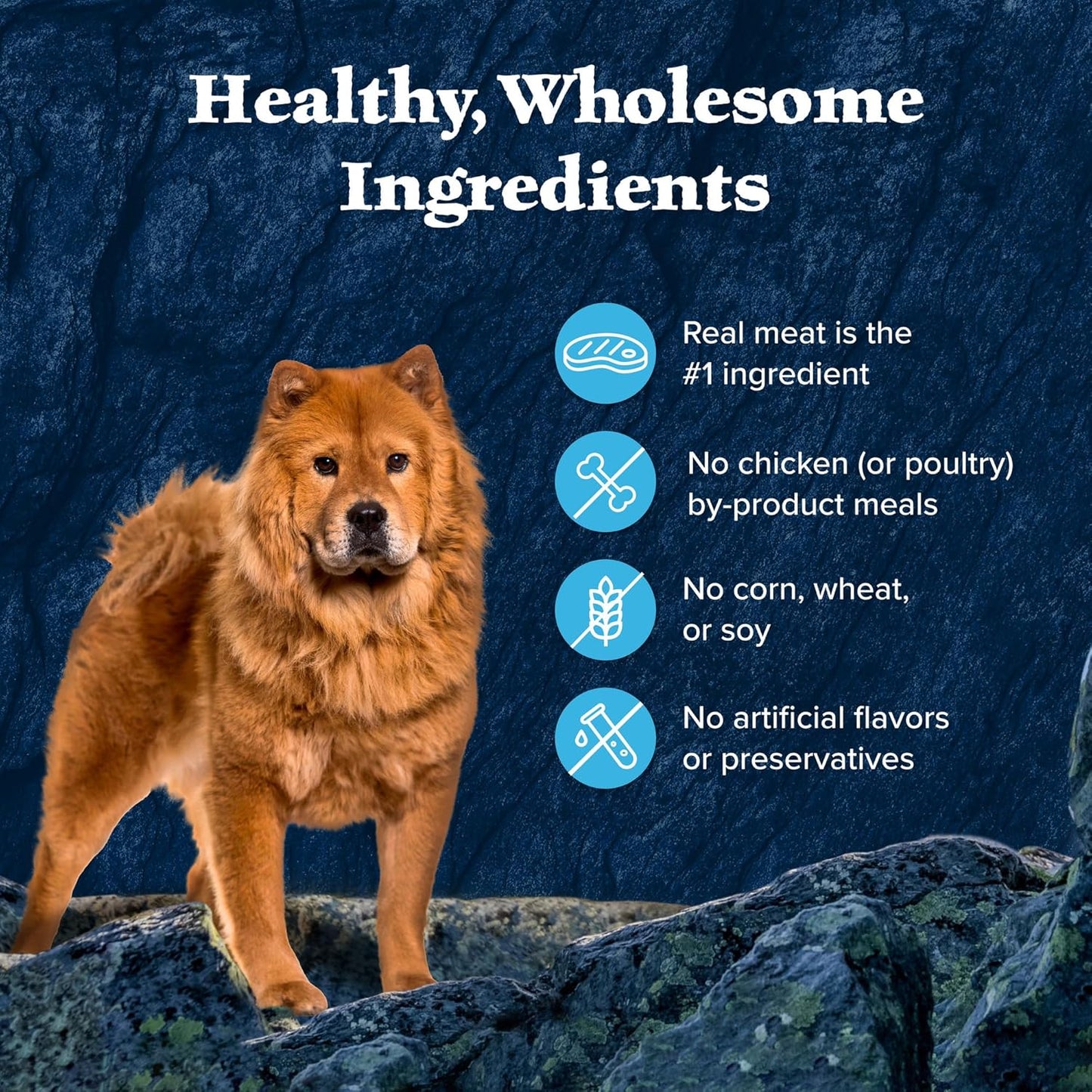 Blue Buffalo Wilderness Trail Toppers Wild Cuts Wet Dog Food Variety Pack, High-Protein & Grain-Free, Made with Natural Ingredients, Chicken and Beef Flavors, 3-oz Pouches, (12 Count, 6 of Each)