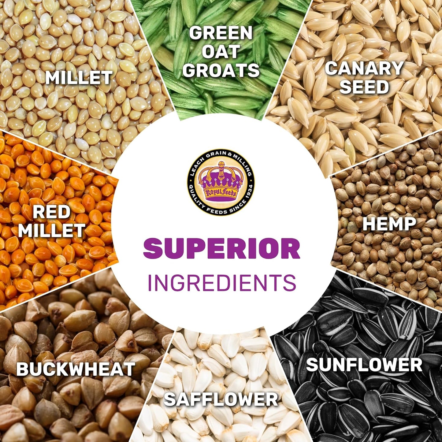 Cockatiel Plus 5 Lbs, Cockatiel Bird Seed, Nutrient-Rich Mixed Birdseeds, Bird Food for Cockatiels, Natural Mixed Seeds for Other Small Parrot, Support Daily Growth Energy and Healthy Balanced Diet