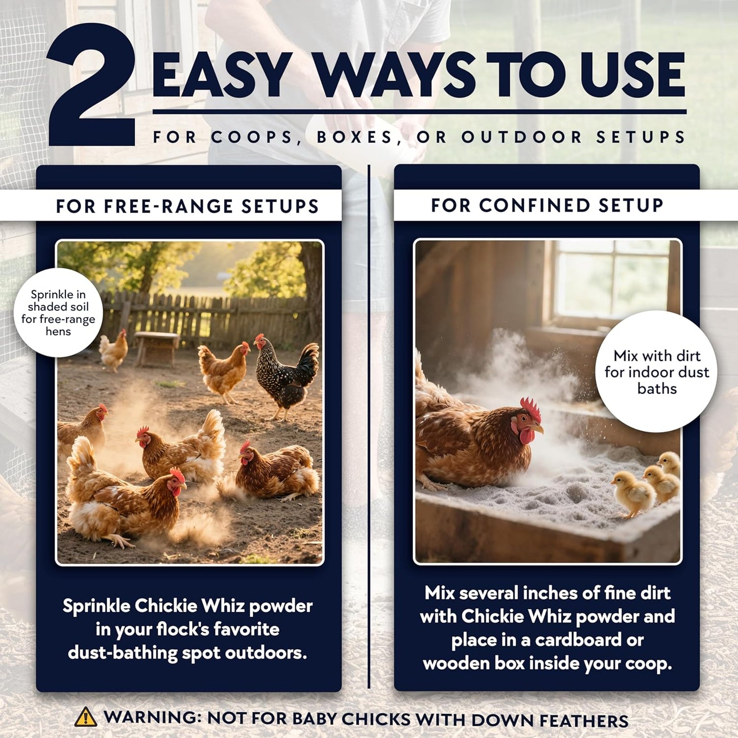 4 x 5.5lb Chickie Whiz Dust Bath, All-Natural Chickie Whiz Dust Bath Powder for Chickens for Healthier Chicken Eggs, Clean, Healthy Chickens Other Small Pet Animals by Billy Buckskin Co.