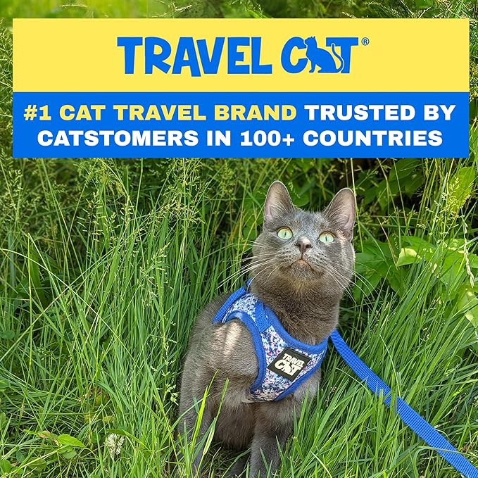 Travel Cat Harness and Leash Set - Adjustable Fit Mesh Cat Harness and Reflective Strap - Comfort Walking Vest for Kitten for Outdoor Walking, Hiking (Small, Groovy)
