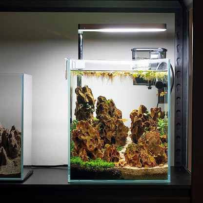 Nano Tall Rimless Frameless Extra Clear Glass Aquarium, Low Iron Glass Tank, 5mm Glass, White Leveling Mat Included, w/Lids Options