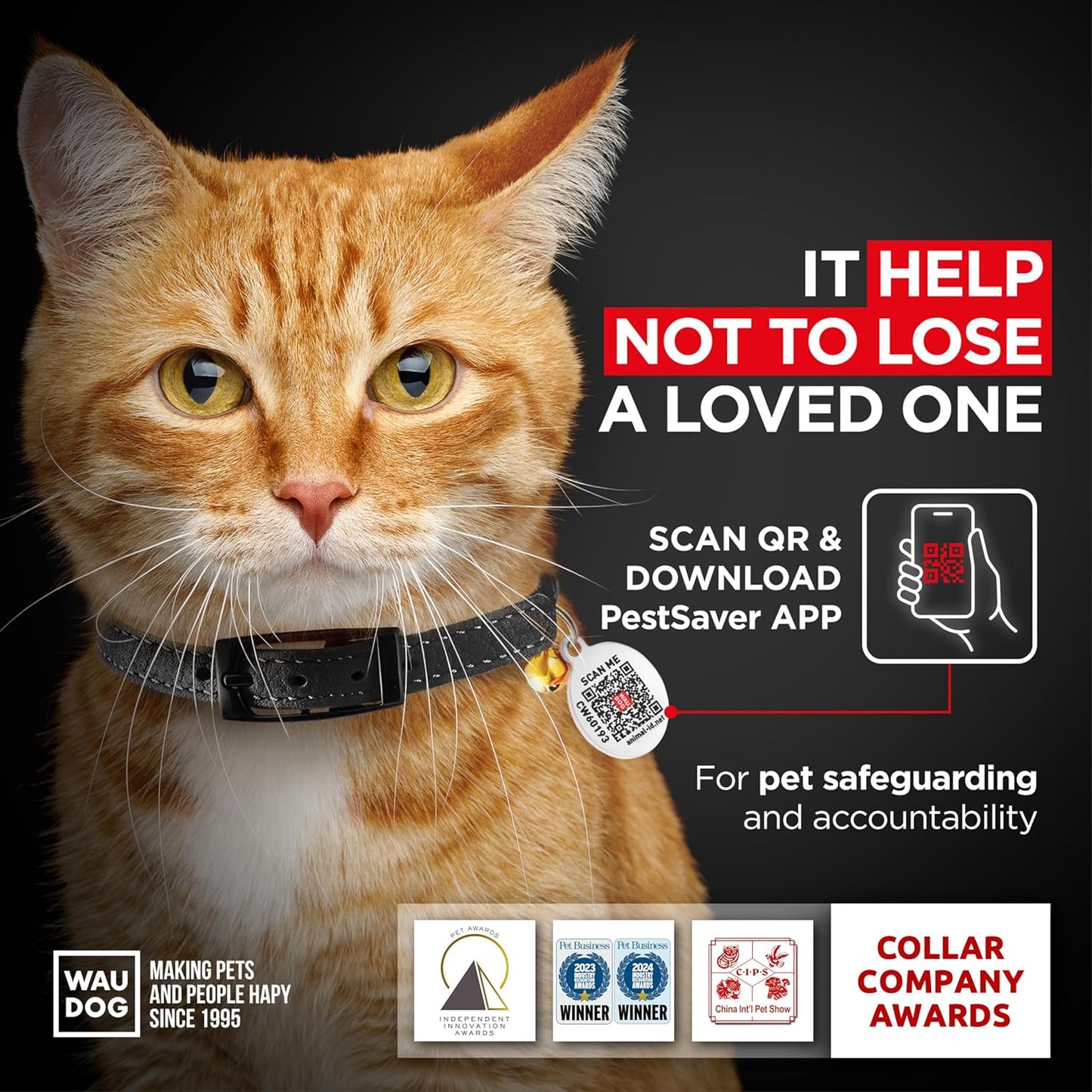 Leather Cat Collar with Bell and Safety Elastic Strap Breakaway Alternative for Small & Large Kittens, Stylish Pet Leather Collar for Boy, Girl Cats with Metal Buckle & QR ID Tag (Black)