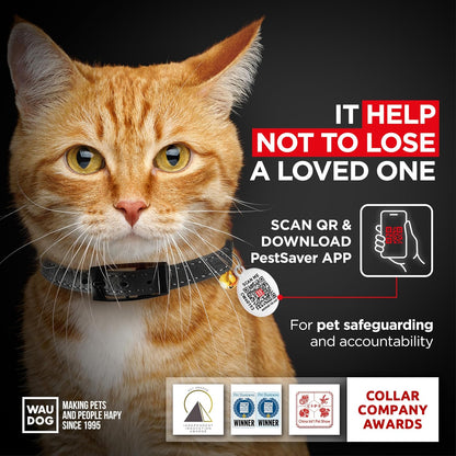 Leather Cat Collar with Bell and Safety Elastic Strap Breakaway Alternative for Small & Large Kittens, Stylish Pet Leather Collar for Boy, Girl Cats with Metal Buckle & QR ID Tag (Black)