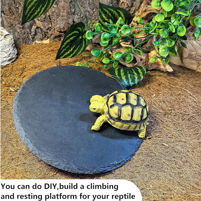 Tfwadmx Reptile Basking Platform,7.8IN Tortoise Rock Slate Plate Feeding Food Bowl Dish Turtle Bathing Resting Terrace for Lizard Bearded Dragon Chameleon Gecko Snake Frog Newt
