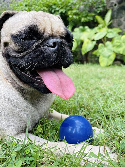 SuperChewy Tough Dog Ball Toy | Lifetime Replacement | Strong Natural Rubber | Great Dog Fetch Toy | Chew Toys for Dogs | Ultra Durable Chew Toys for Aggressive Chewers | Large Breed Tested