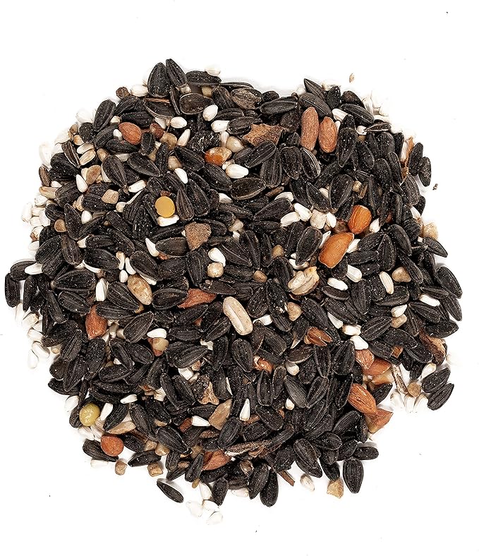 Wagner's Songbird Banquet & Safflower Seed Wild Bird Food, 5 & 10 lb