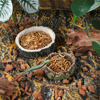 IBWell 2pcs Reptile Water Bowl with Feeding Tweezers - Reptile Food Dish for Lizard, Snake, Tortoise & Small Animals - Wooden Tree Stump