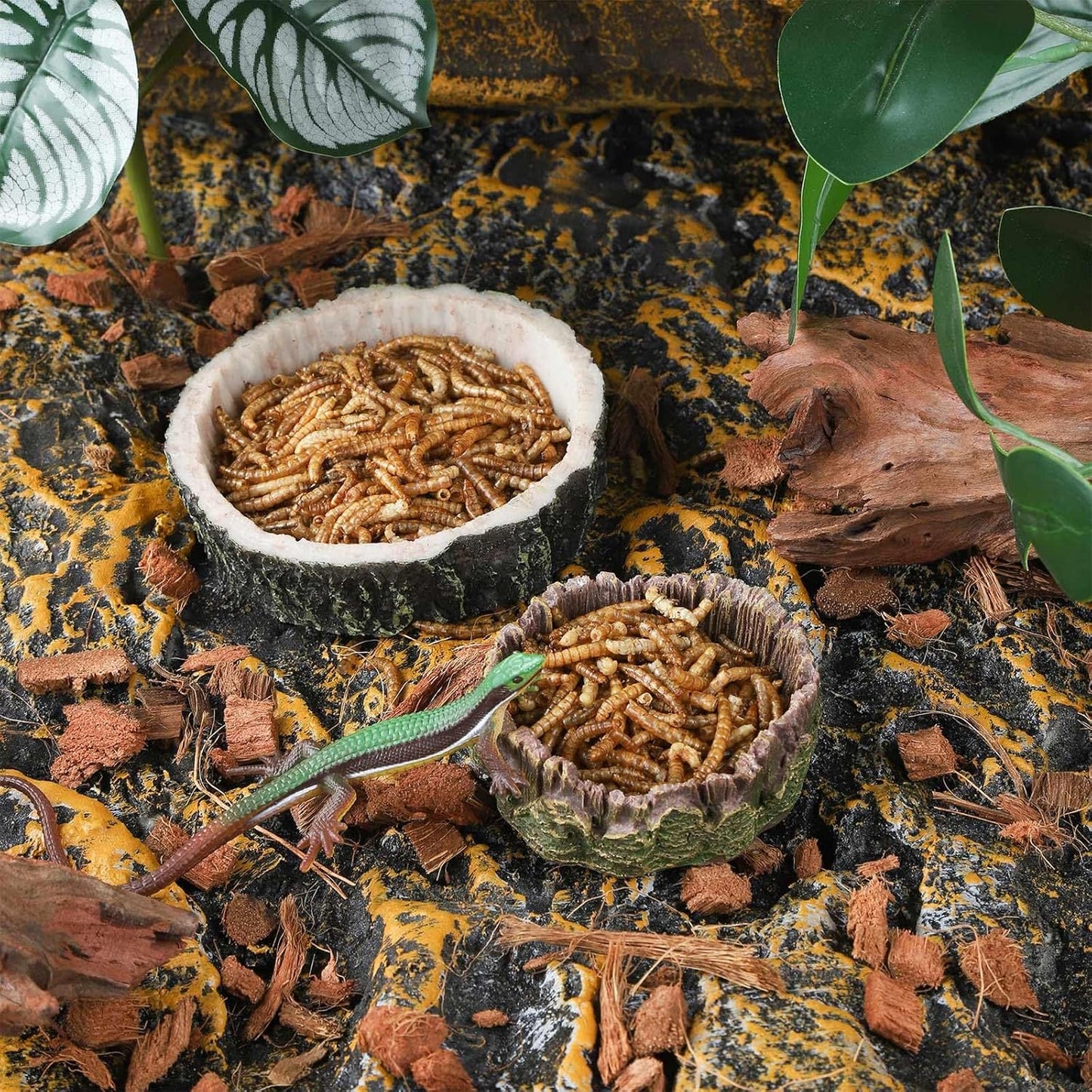 IBWell 2pcs Reptile Water Bowl with Feeding Tweezers - Food Dish for Lizard, Snake, Tortoise & Small Animals - Gray Tree Stump