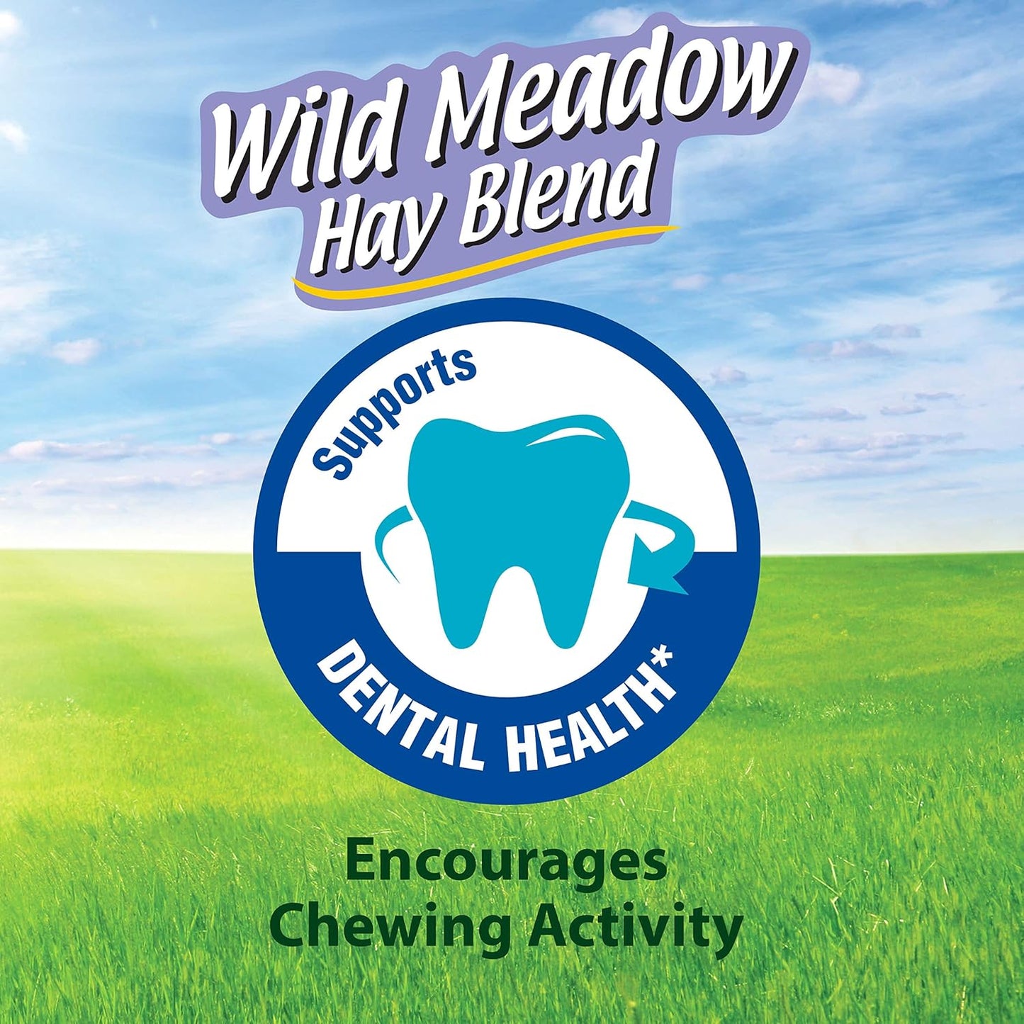 Kaytee All Natural Timothy Hay Wild Meadow Hay Blend for Guinea Pigs, Rabbits & Other Small Animals, 24 Ounce (Pack of 2)