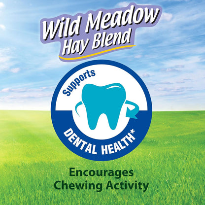 Kaytee All Natural Timothy Hay Wild Meadow Hay Blend for Guinea Pigs, Rabbits & Other Small Animals, 24 Ounce (Pack of 2)