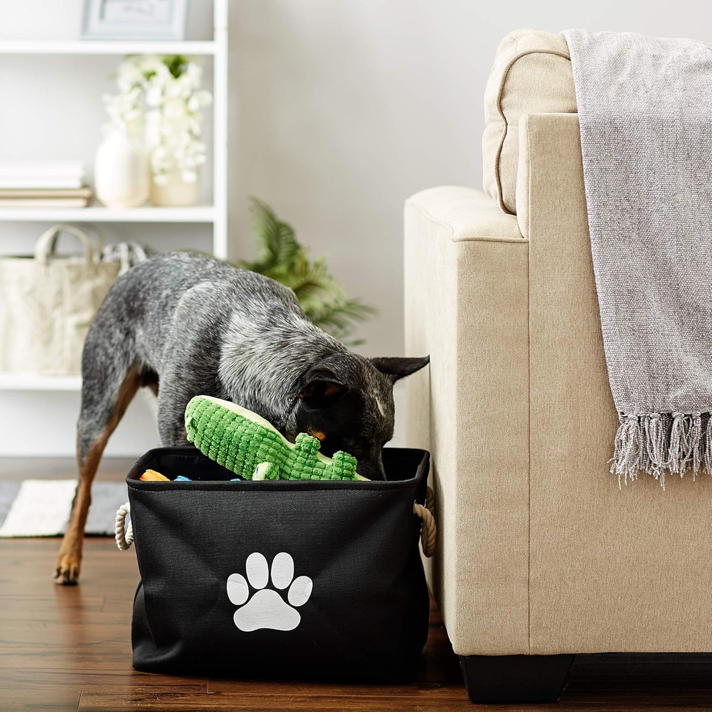 Bone Dry Pet Storage Collection Collapsible Bin, Black, Medium Rectangle