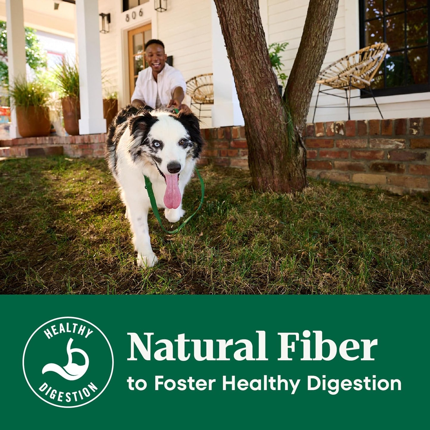 Nutro Natural Choice Lamb & Brown Rice Adult Healthy Weight Dog Food Recipe, 30 lb. Bag