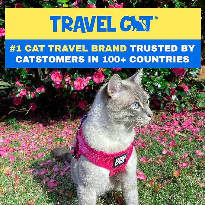 Travel Cat Harness and Leash Set - Adjustable Fit Mesh Cat Harness and Reflective Strap - Comfort Walking Vest for Kitten for Outdoor Walking, Hiking (Extra Small)