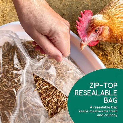 FLYGRUBS 20 lb Dried Black Soldier Fly Larvae – Superior to Mealworms for Chickens–85X More Calcium,Non-GMO,High-Protein Feed & Molting Supplement for Hens, Ducks, Turkeys, Wild Birds, Quails, Turtles