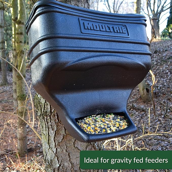 Lyric Wildlife Critter Food for Deer, Squirrels, Turkeys & Rabbits, Wild Bird Seed for Outside Feeders, 10 lb Bag