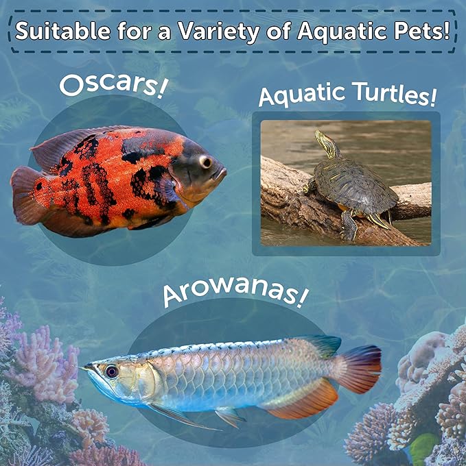 Aquatic Foods Inc. Grasshoppers, Freeze Dried Grasshoppers for Large Tropical Fish, Monster Fish, Reptiles, Turtles, Tortoises, Frogs, Hamsters, Birds, Rodents 1.0oz Canister