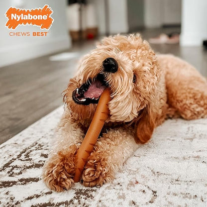 Nylabone Baguette Power Chew Toy for Dogs, Dog Toys for Aggressive Chewers, Roast Chicken Flavor, Large Dogs - Up to 50 lbs, 1 Count