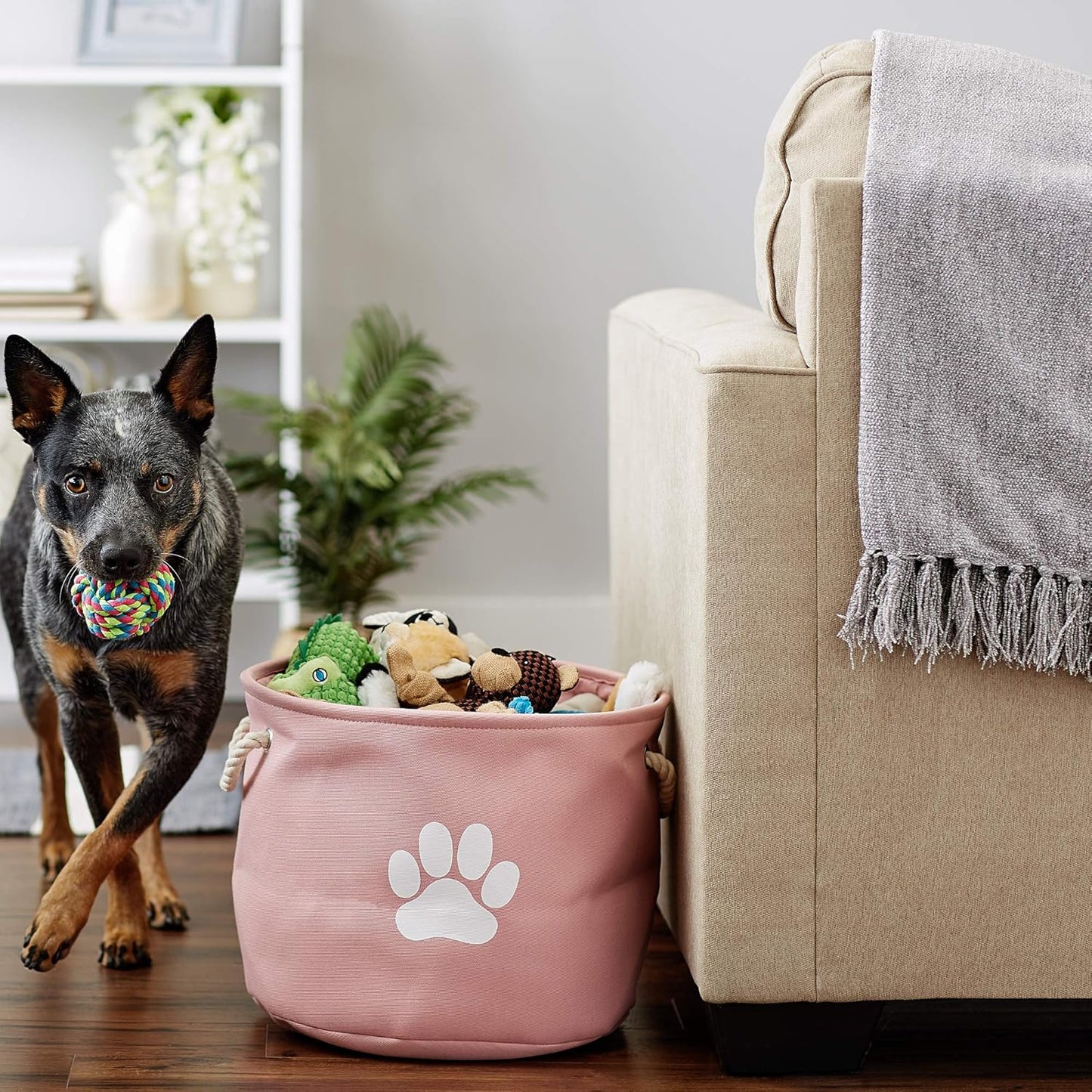 Bone Dry Pet Storage Collection Collapsible Bin, Rose, Medium Round