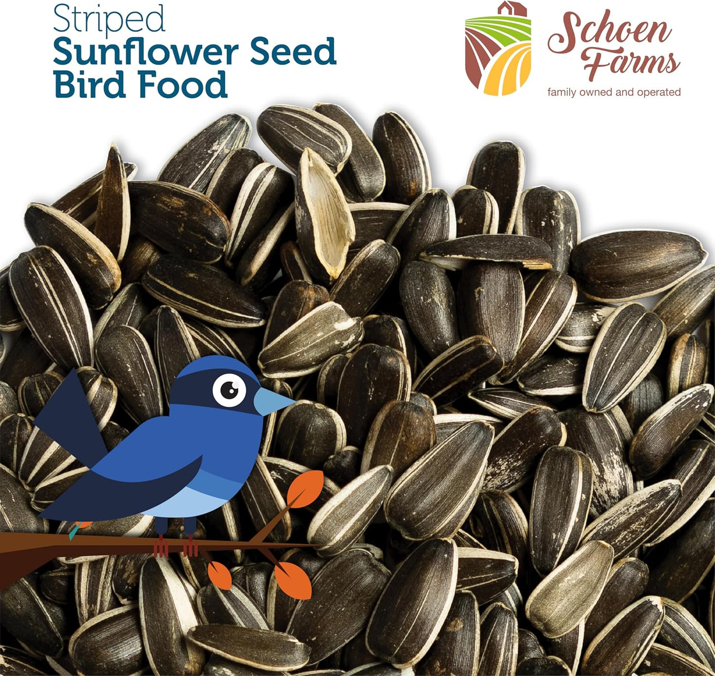 Schoen Farms Striped Sunflower Seeds – Hulled Wild Bird Food – 3 lb Bag – Clean, No-Mess Bird Seed for Finches, Jays & Cardinals