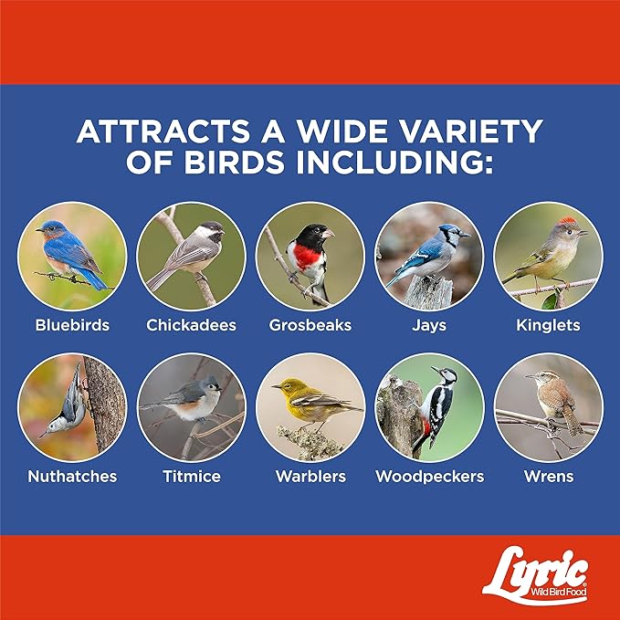 Lyric Supreme Wild Bird Seed Suet Cakes for Wild Birds, 12 oz. (12 Pack)