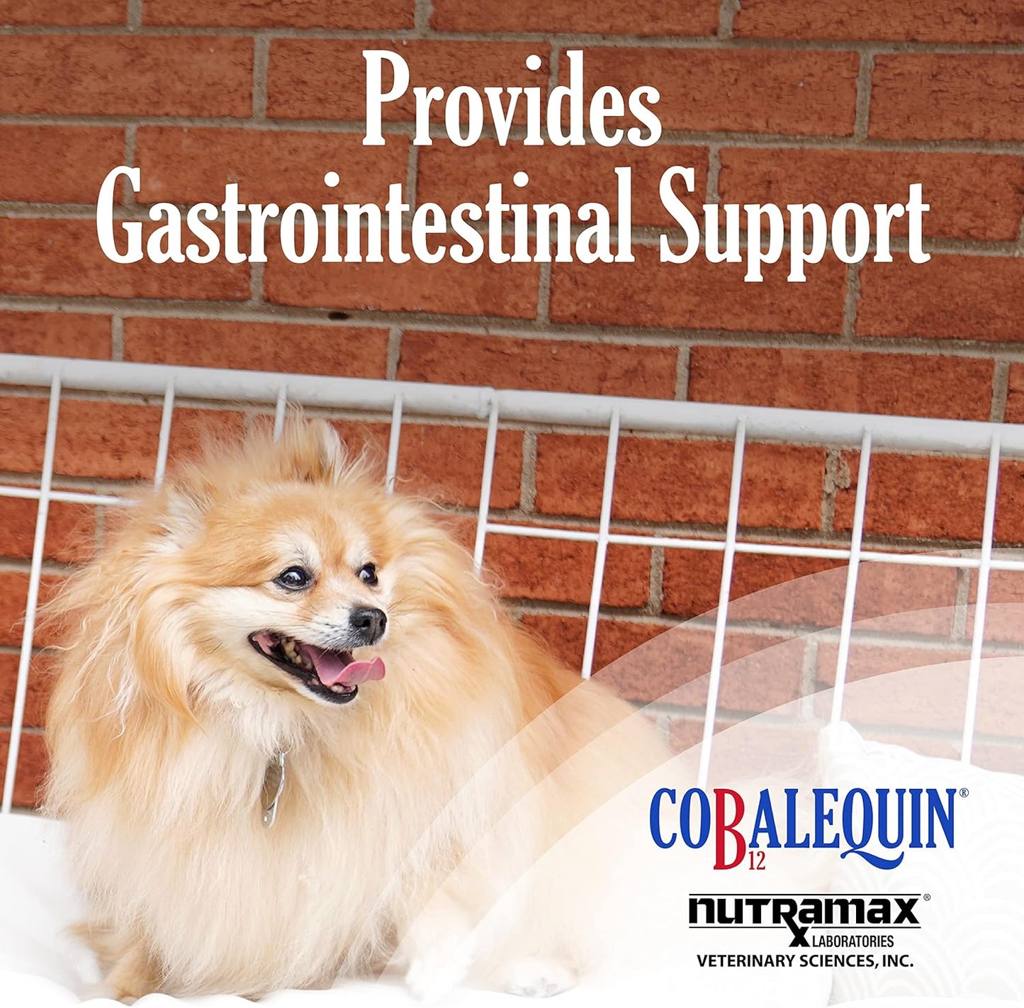 Nutramax Cobalequin B12 Supplement for Cats and Small Dogs, 45 Count (Pack of 1)